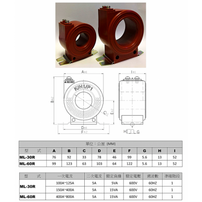 Encapsulated Current Transformer.png